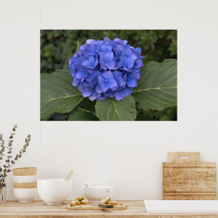 Pôster Linda Hortênsia Azul