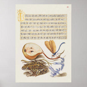 Poster Linda Ilustração Botânica Vintage