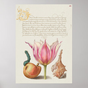 Poster Linda Ilustração Botânica Vintage