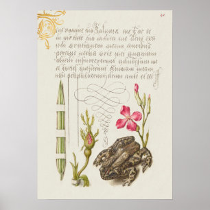 Poster Linda Ilustração Botânica Vintage