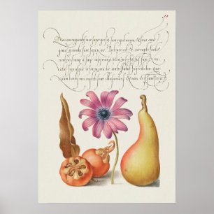 Poster Linda Ilustração Botânica Vintage