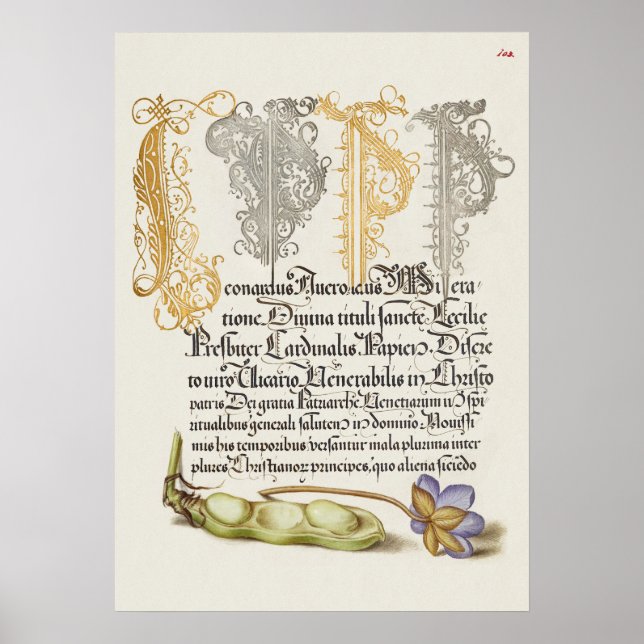 Poster Linda Ilustração Botânica Vintage (Frente)