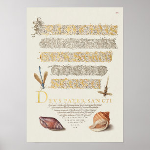 Poster Linda Ilustração Botânica Vintage