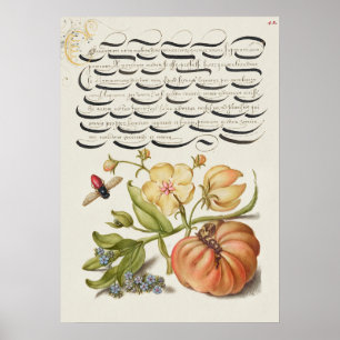 Poster Linda Ilustração Botânica Vintage