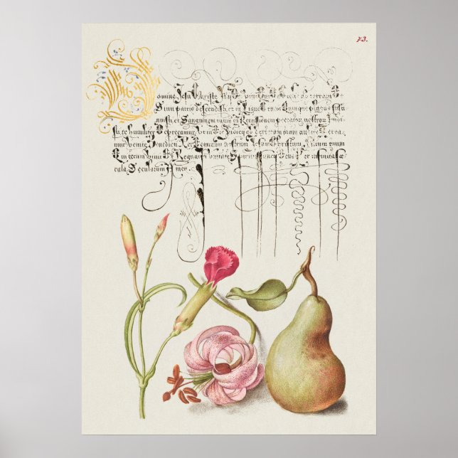 Poster Linda Ilustração Botânica Vintage (Frente)