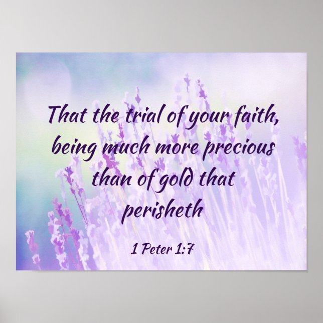 Poster Linda Lavanda Flor Campo Bíblia Escritura (Frente)