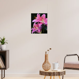 Poster Linda Lily Blooms Rosa Floral