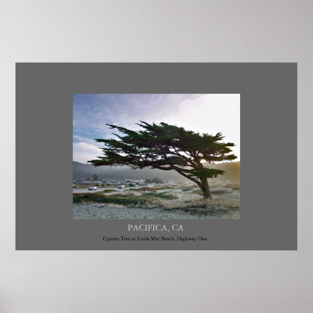 Poster Linda Mar Cypress (Frente)