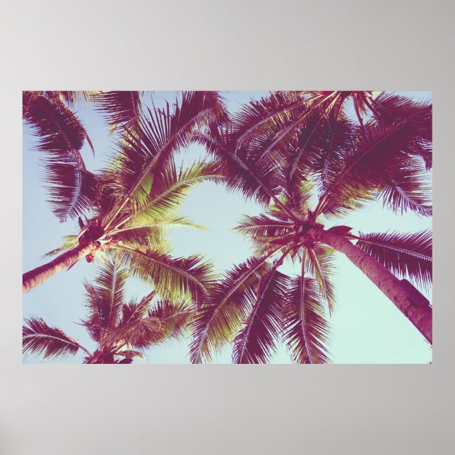 Poster Linda palmeira tropical ao redor do mar de praia (Frente)