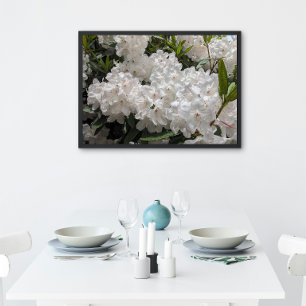 Pôster Linda Rhododendron Blooms Floral