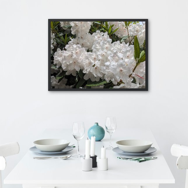 Pôster Linda Rhododendron Blooms Floral (In Situ (Framed))