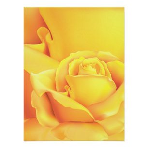 Pôster Linda Rosa Amarela