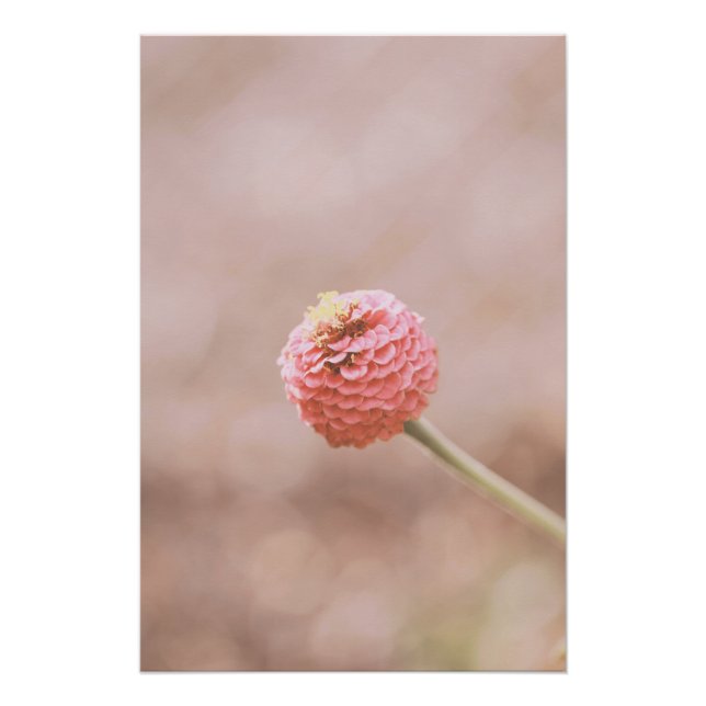 Pôster Linda Rosa claro Flor Floral (Frente)