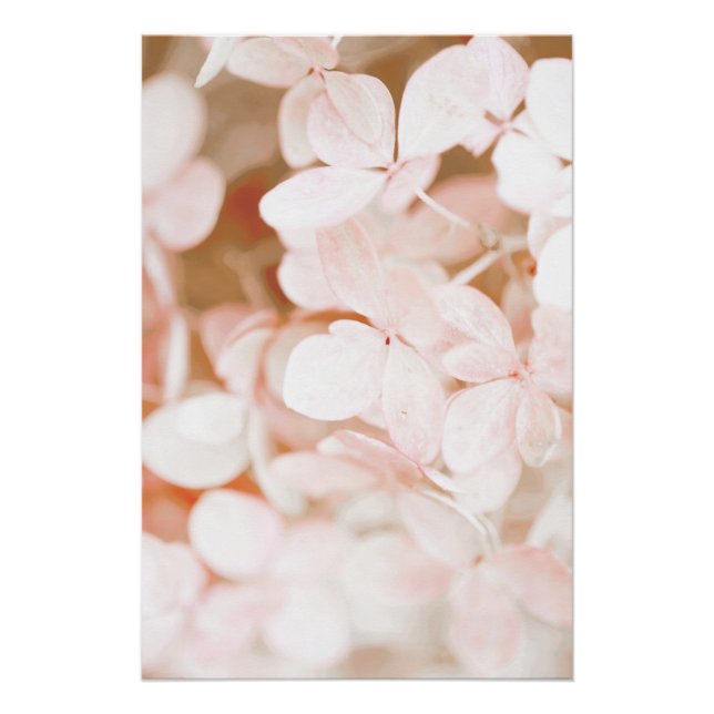 Pôster Linda Rosa claro Flor Floral (Frente)