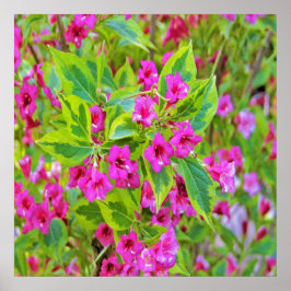 Poster Linda Weigela Verde com Flores Carmesim