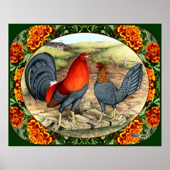 Poster Lindas Aves de Briga (Frente)