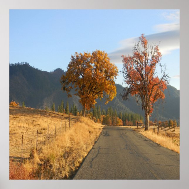 Poster Lindas cores no outono... (Frente)