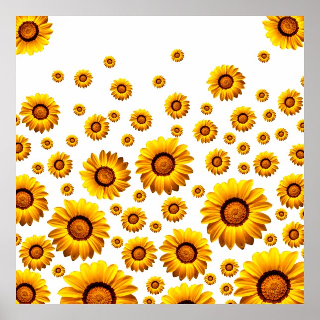 Poster Lindas flores amarelas (Frente)