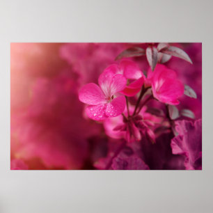 Poster Lindas flores de primavera