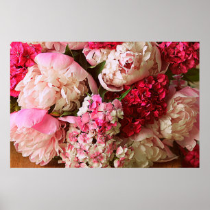 Poster Lindas flores de verão. Buquê de colônia rosa e