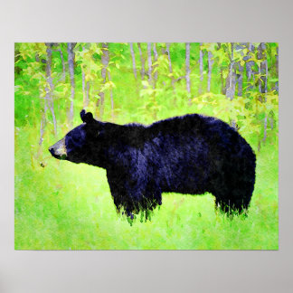 Poster Lindas pinturas de aquarela com Urso Negro