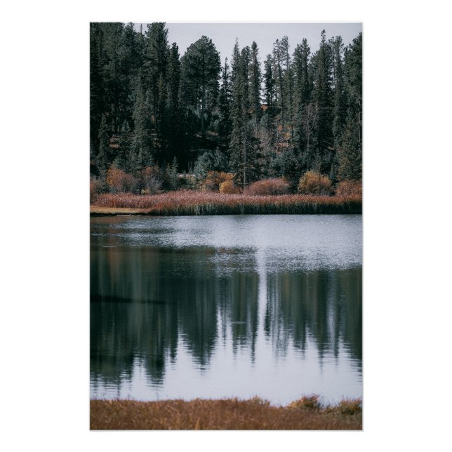 Pôster Lindas Reflexões De Evergreens No Lago (Frente)