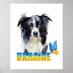 Poster Lindo aquarela cachorro e borboleta da Ucrânia  
