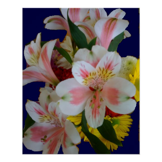 Pôster Lindo Buquê de Lírios Peruanos Brancos e Rosas  (Frente)