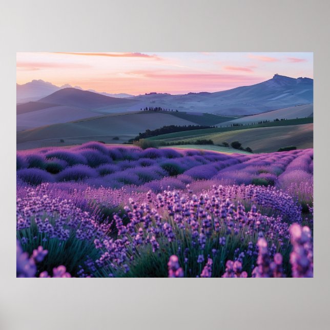 Poster Lindo campo de jardim (Frente)