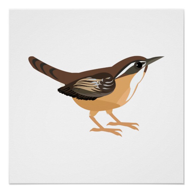 Pôster Lindo carolina wren (Frente)