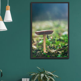 Poster Lindo cogumelo selvagem em um campo de outono
