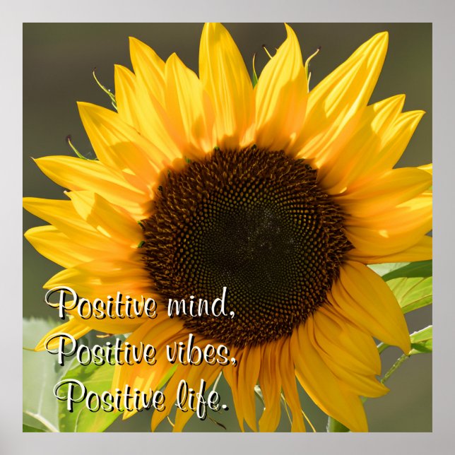 Poster Lindo girassol amarelo debaixo da foto do sol (Frente)