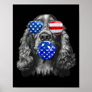 Poster Lindo Spaniel Er Usando Óculos De Sol Da Bandeira