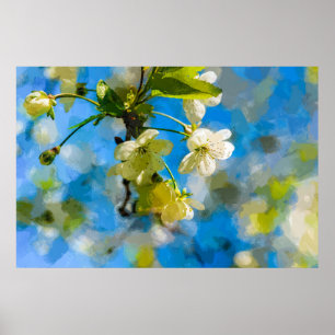 Poster Lindos Blossomas de Cereja