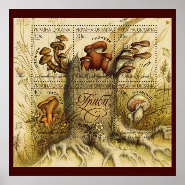 Poster Lindos Cartazes De Cogumelo ~ Toadstool Ucrânia 19 (Frente)
