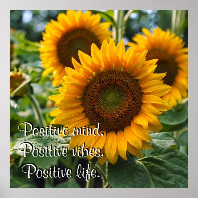 Poster Lindos girassóis sob o sol personalizados (Frente)