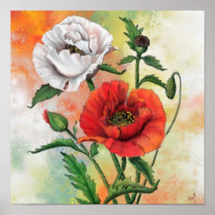 Poster Lindos papagaios brancos vermelhos - Pintura pinta