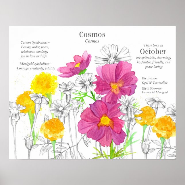 Poster Língua das Flores de Nascimento de Outubro Calendu (Frente)