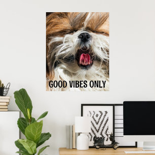 Poster Língua de shih tzu vibrações engraçadas texto pers