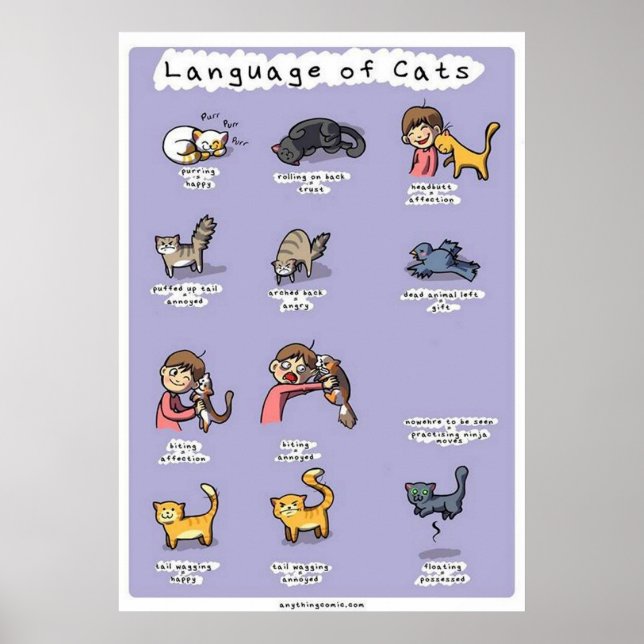 Poster língua dos gatos (Frente)