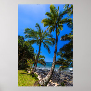 Poster Linha costeira tropical 2