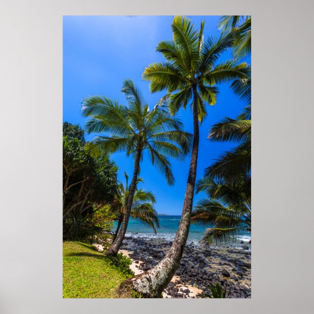 Poster Linha costeira tropical 2 (Frente)