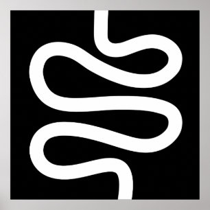 Poster Linha Curva - Branco em Preto