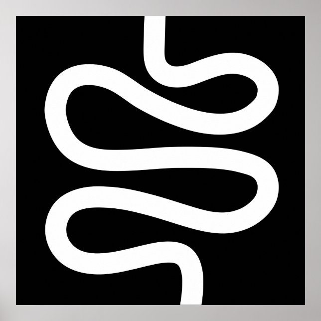 Poster Linha Curva - Branco em Preto (Frente)