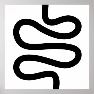 Poster Linha Curva - Preto em Branco