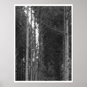 Poster Linha de árvore