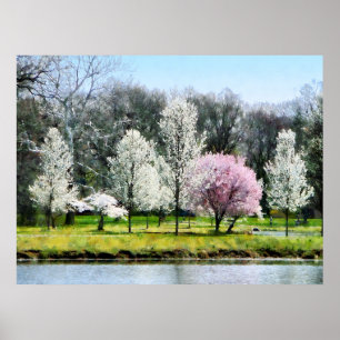 Poster Linha de árvores de florescência