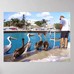 Poster Linha de Buffet