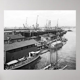 Pôster Linha de Holland América