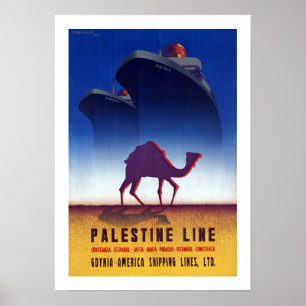 Pôster Linha de Palestina